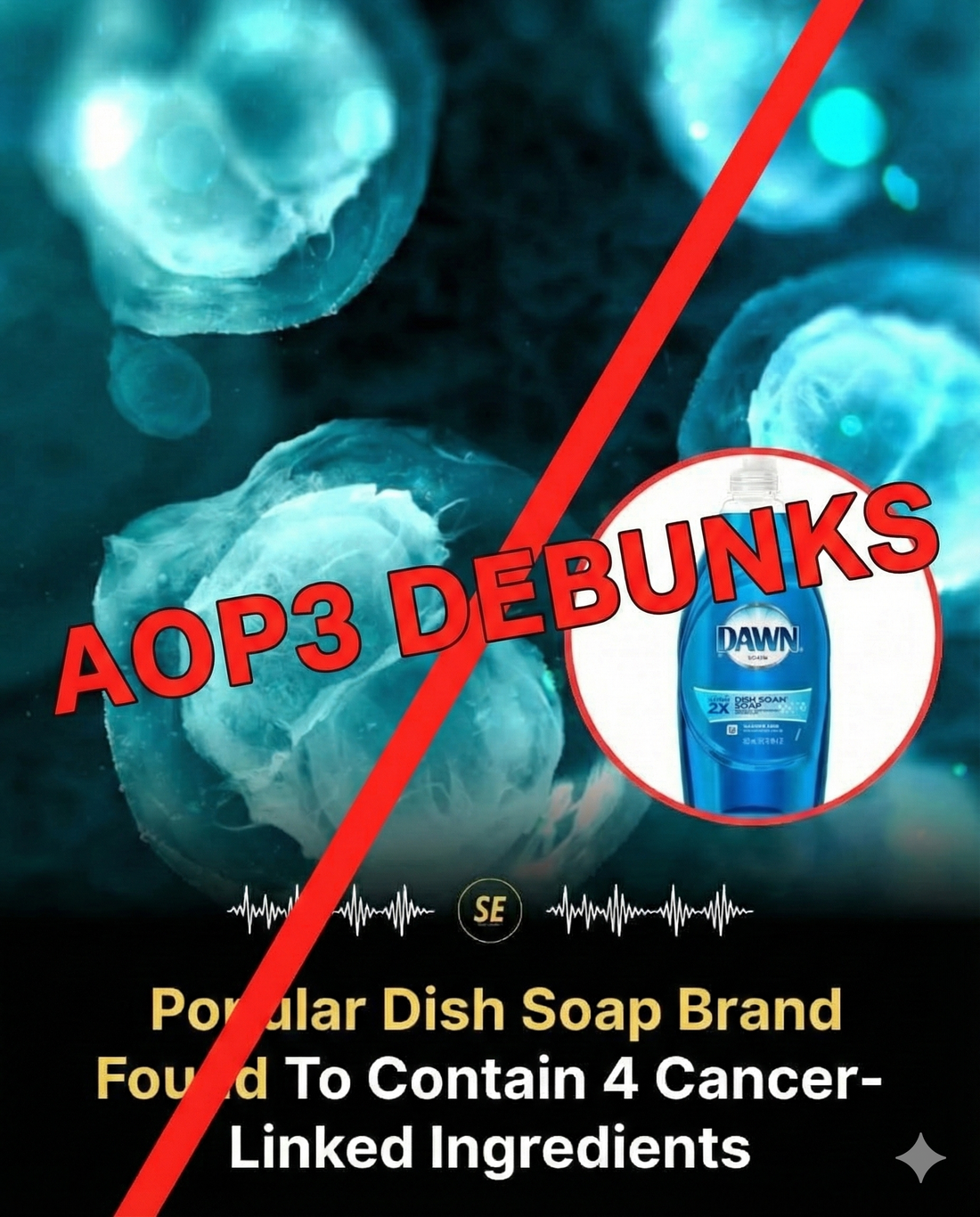 The Toxicology, Chemistry, and Regulatory Framework of Manual Dishwashing Detergents: A Comprehensive Safety Assessment