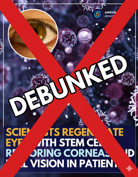 I See What You Did There: A Guide to That Viral ‘Eye Regeneration’ Post