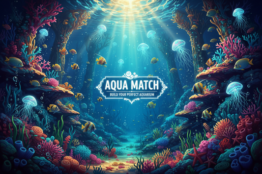 Aqua Match