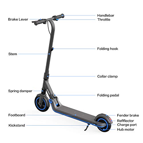 Segway Ninebot eKickScooter ZING E10 Electric Kick Scooter for Kids and Teens, Lightweight and Foldable, New Cruise Mode, Dark Grey