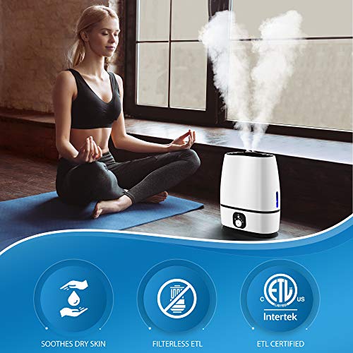 Everlasting Comfort Cool Mist Humidifier for Bedroom with Essential Oil Tray, 6L, White