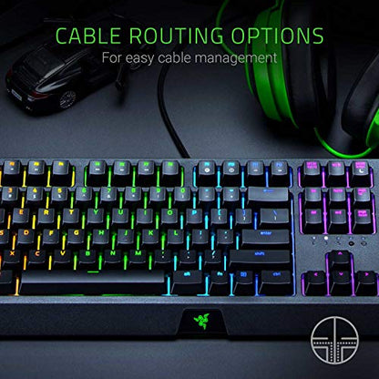 Razer BlackWidow Mechanical Gaming Keyboard: Green Mechanical Switches - Tactile & Clicky - Chroma RGB Lighting - Anti-Ghosting - Programmable Macro Functionality