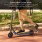 Segway Ninebot eKickScooter ZING E10 Electric Kick Scooter for Kids and Teens, Lightweight and Foldable, New Cruise Mode, Dark Grey