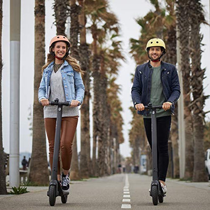 Segway Ninebot E22 Electric Kick Scooter, Upgraded Motor Power, 9-inch Dual Density Tires, Lightweight and Foldable, Dark Grey