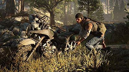 Days Gone - Playstation 4