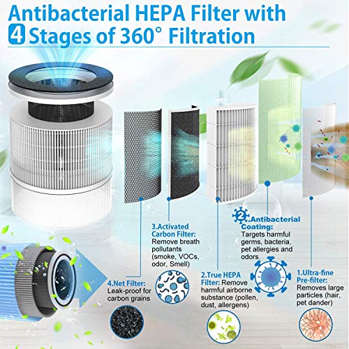 RENPHO True HEPA H13 Replacement Filter for RP-AP088W/RP-AP088B, 4-Stage Filtration System, Pre-filter, HEPA Filter, Activated Carbon Filter and Net Filter, Especially for Mold Bacteria