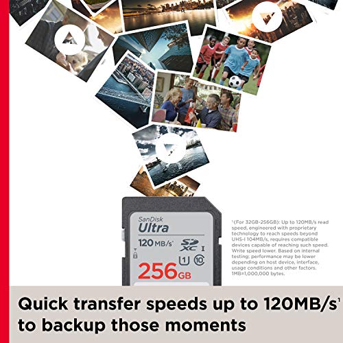 SanDisk 32GB Ultra SDHC UHS-I Memory Card - 120MB/s, C10, U1, Full HD, SD Card - SDSDUN4-032G-GN6IN