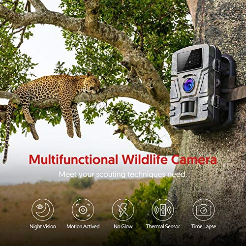 Night vision best sale for wildlife watching